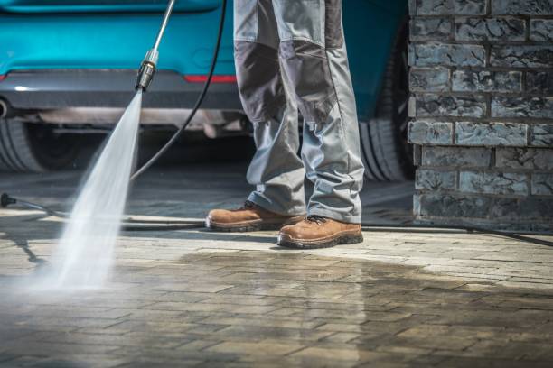 Best Dumpster Area Cleaning  in Eastport, NY