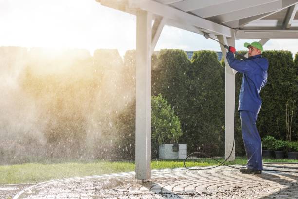 Best Soft Washing  in Eastport, NY